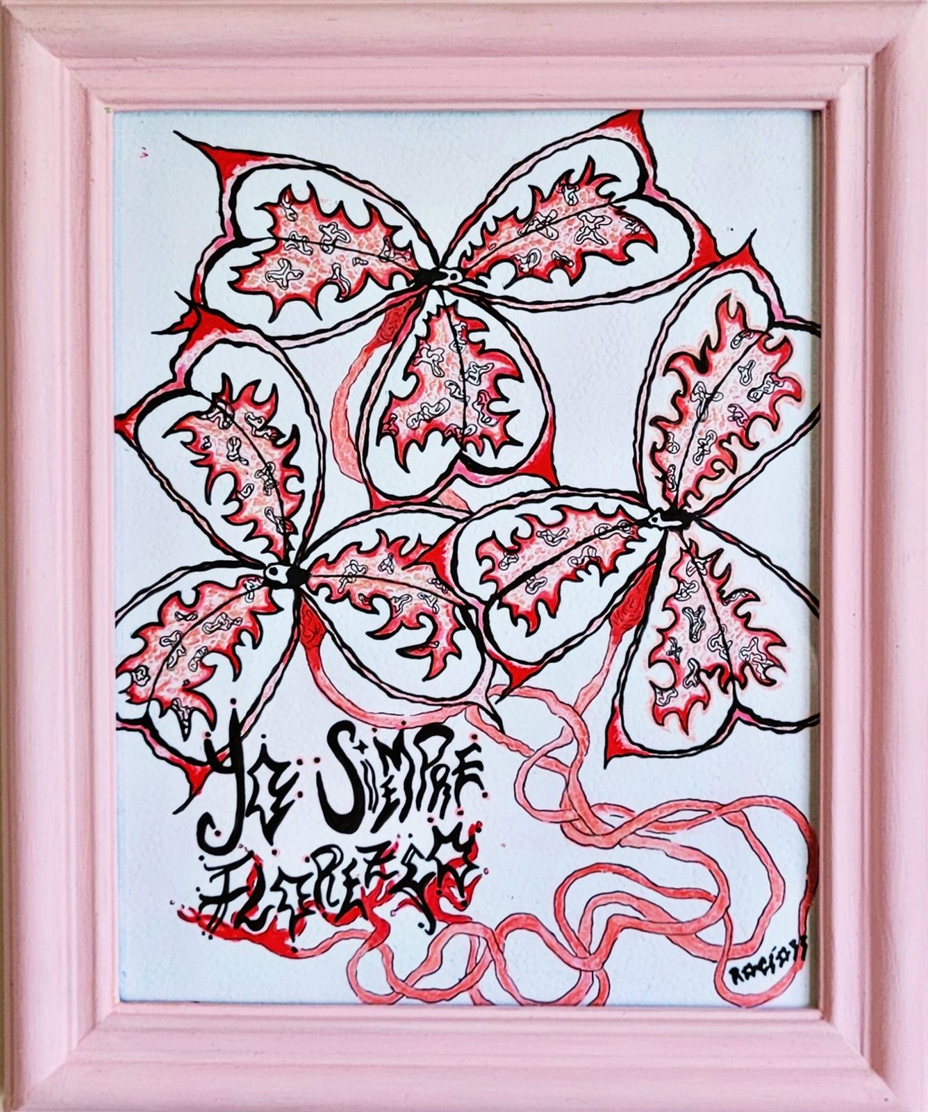 Oxalis — detalle